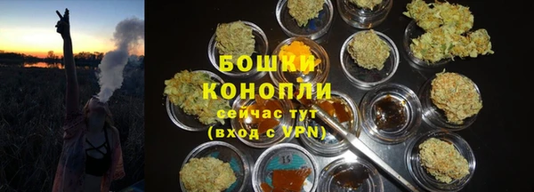 дживик Михайловск